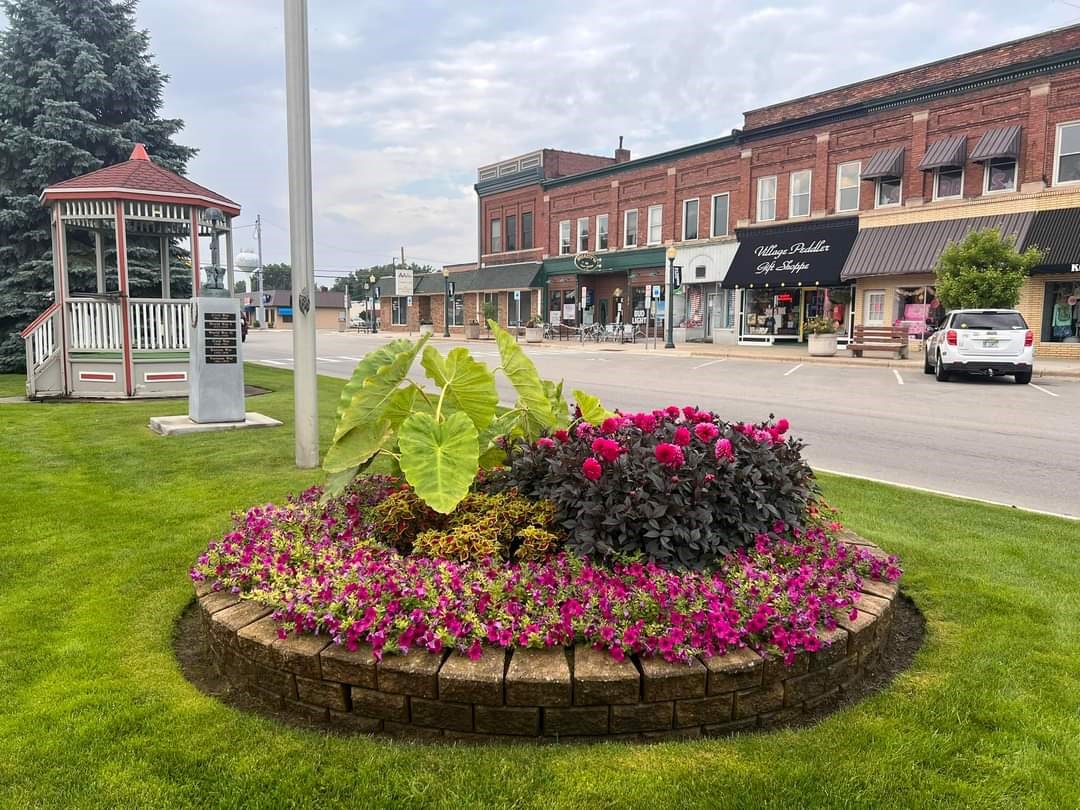 A vibrant flowerbed with large leaves and pink blooms in a small town square, featuring a modern HVAC system near the gazebo and historic buildings in the background.