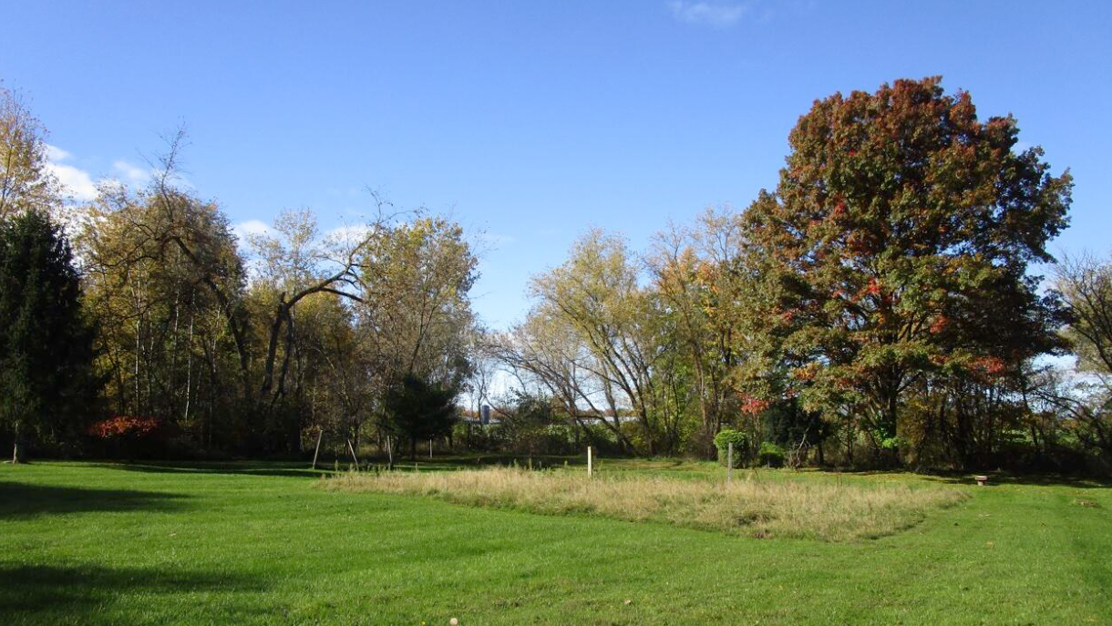 A serene park in autumn with a clear blue sky, lush green grass, and trees showcasing early fall colors, complete with an efficient HVAC system keeping nearby facilities comfortably climate-controlled.