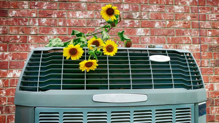 Several sunflowers rest on top of a metal ac unit
