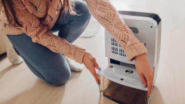 dehumidifier in michigan A person in a pink sweater removes the water tank from a white dehumidifier on a light wooden floor.